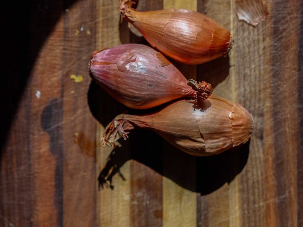 shallots